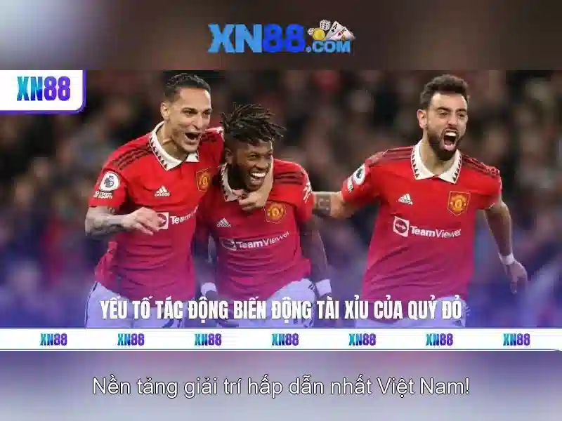 Tính năng và trải nghiệm người dùng