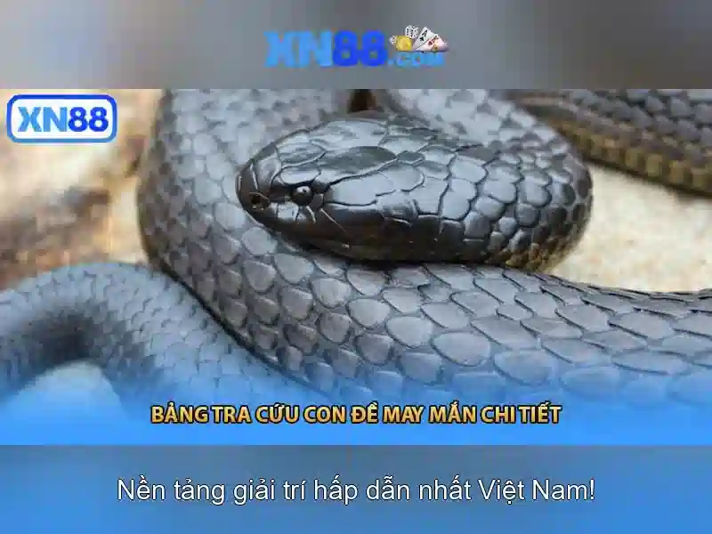 xn88 - Tổng quan và đánh giá nền tảng trò chơi trực tuyến