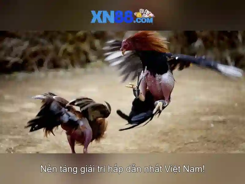 Các trò chơi nổi bật tại xn88