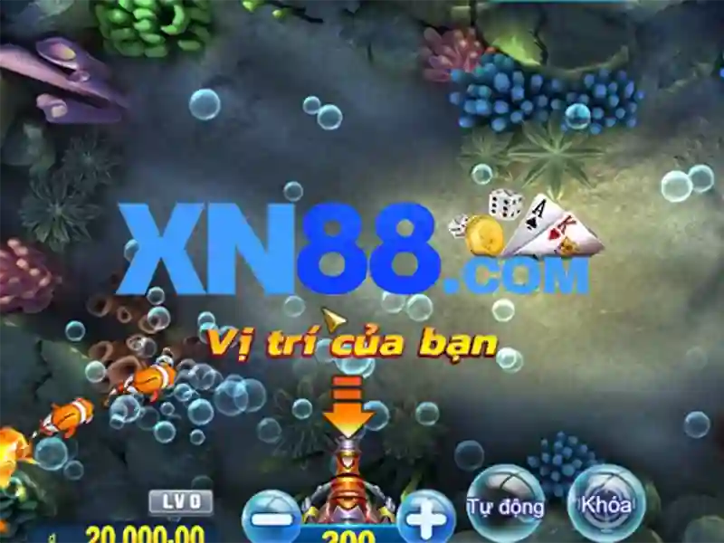 xn88: Nền tảng cược trực tuyến và hành trình trải nghiệm