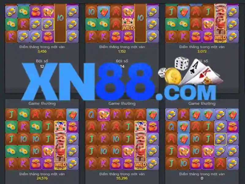 Giới thiệu về xn88
