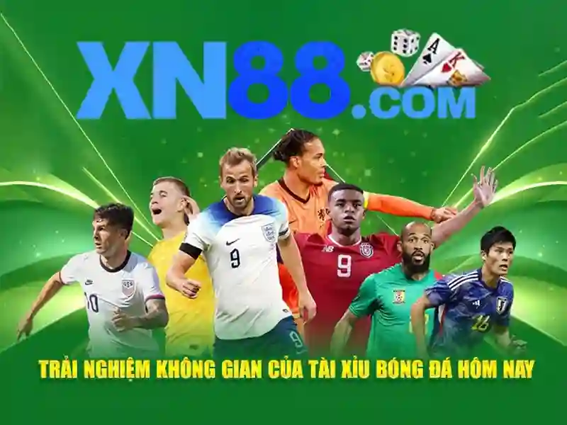 Tổng quan về xn88
